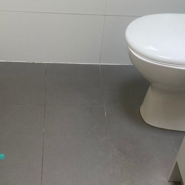 A Guide To Removing Limescale From A Toilet toilet Cleaning