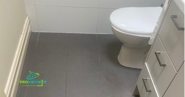 A Guide To Removing Limescale From A Toilet toilet Cleaning